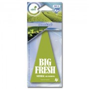 Ароматизатор NATURAL FRAGRANCE Big Fresh "Зеленый чай"